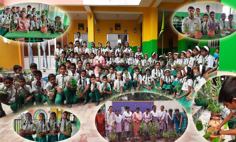 Photo of नवदिप एकेडेमीद्वारा वृक्षरोपण